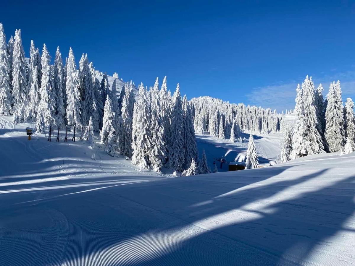 Villa Olimpik House Jahorina Extérieur photo