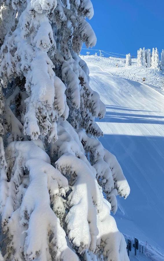 Villa Olimpik House Jahorina Extérieur photo